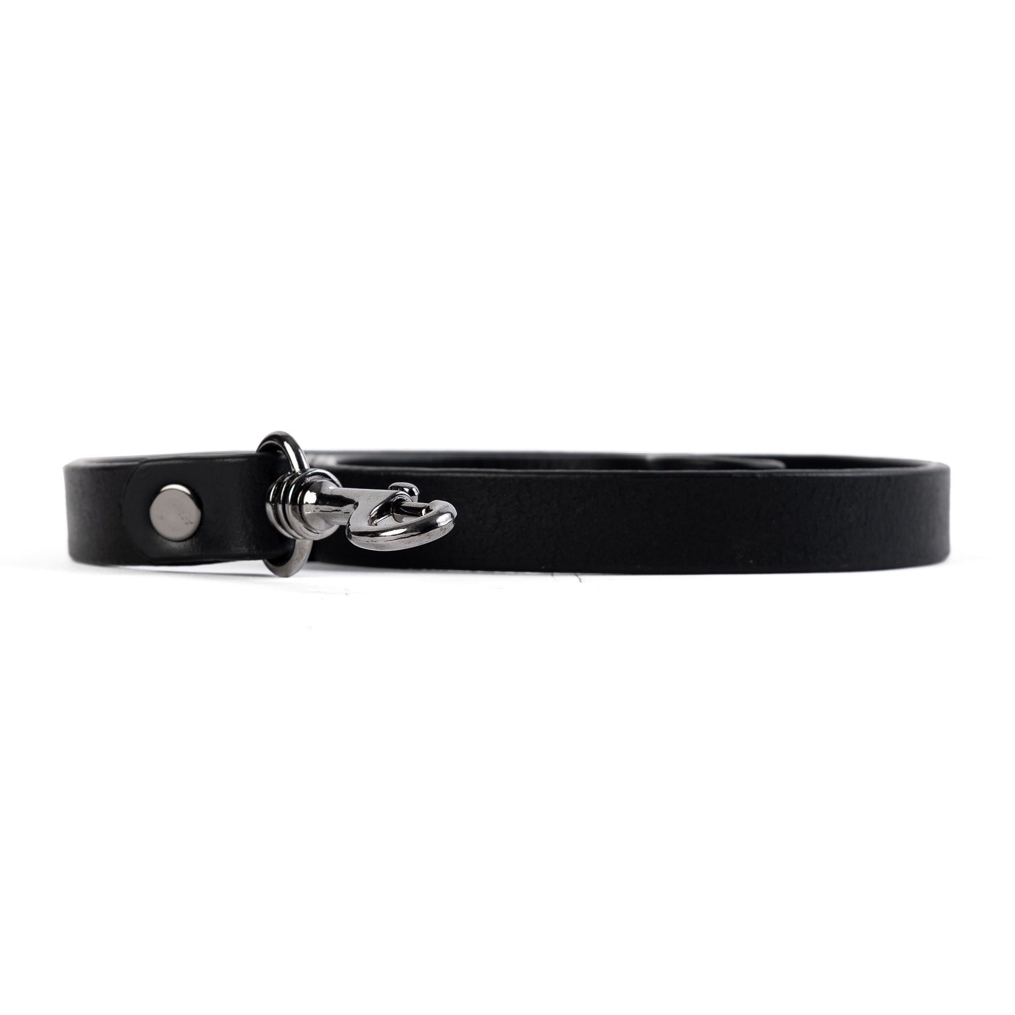 Luxe Leather Leash