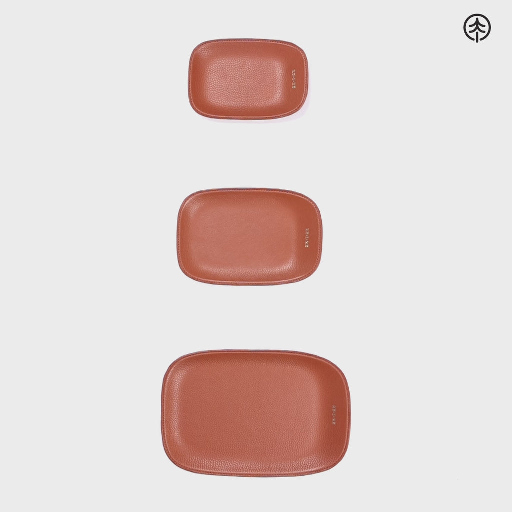 Tokyo Tray